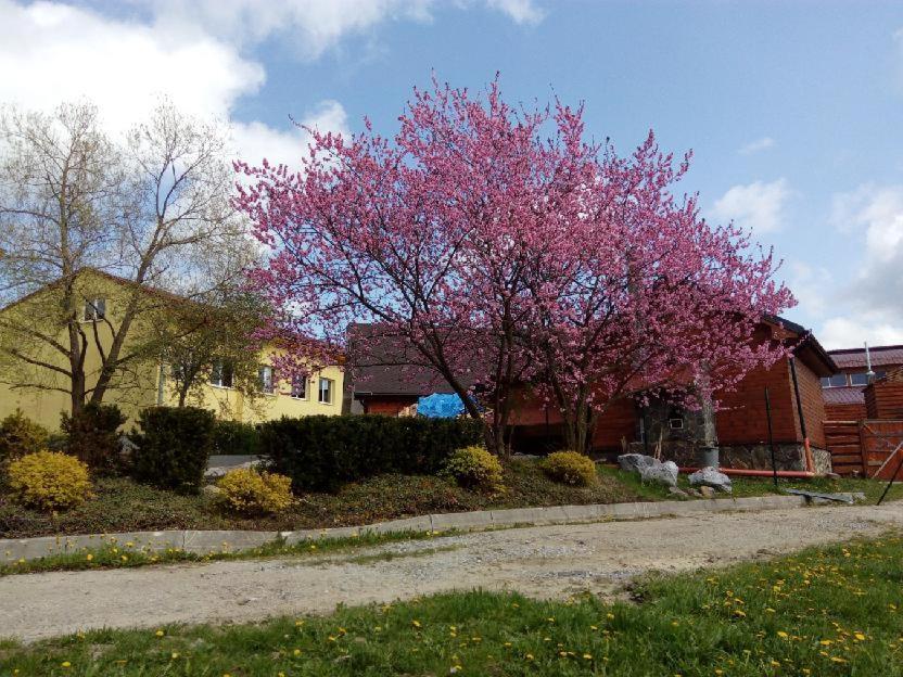 Apartman Monny Frymburk Exterior photo